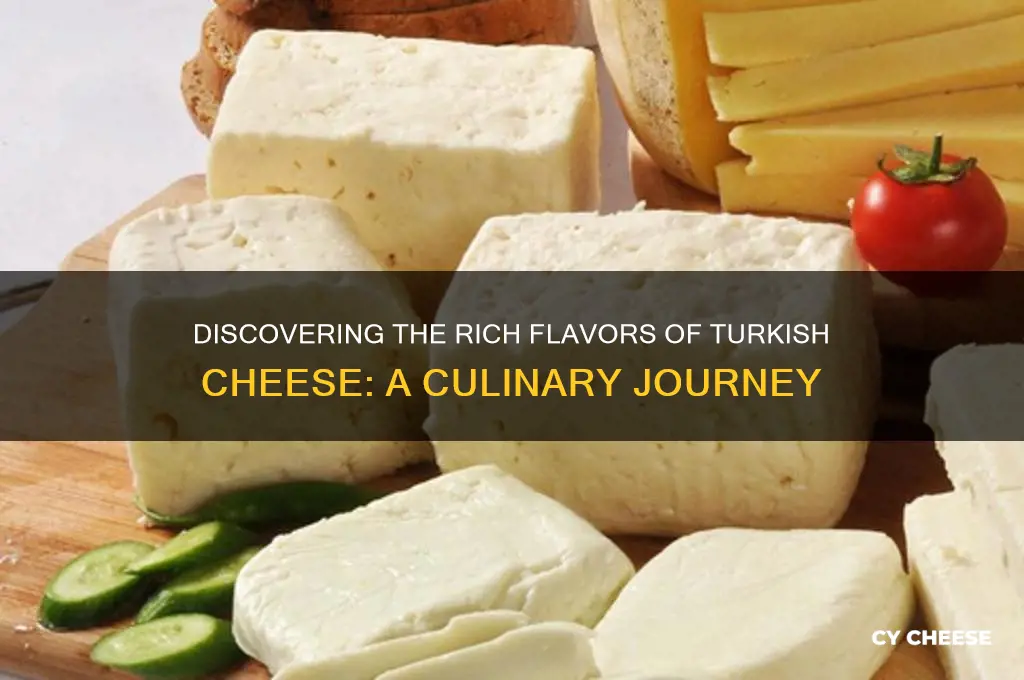 what is cheese in turkish