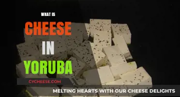 Discovering the Yoruba Word for Cheese: A Cultural Food Exploration