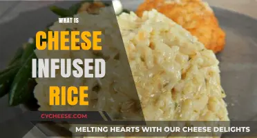 Cheese Infused Rice: A Creamy, Savory Twist on Classic Comfort Food