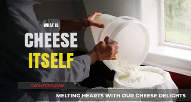 Unraveling the Creamy Mystery: What is Cheese Itself?