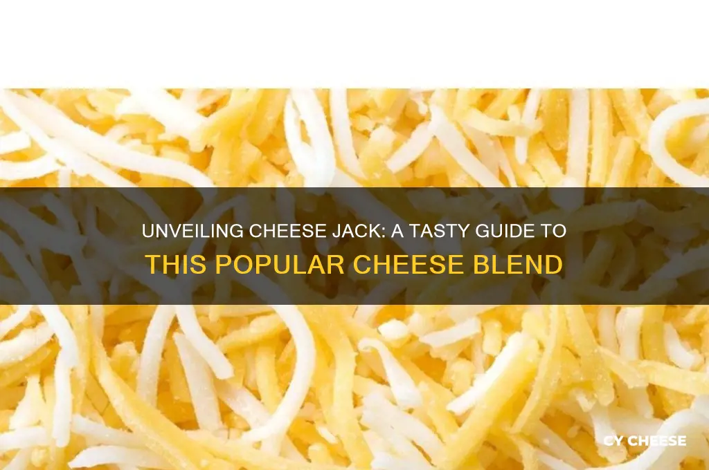 what is cheese jack