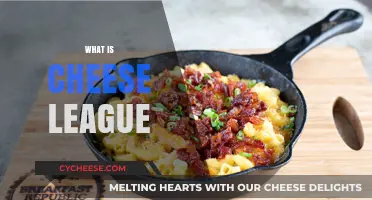 Understanding Cheese League: A Beginner's Guide to the Unique Concept