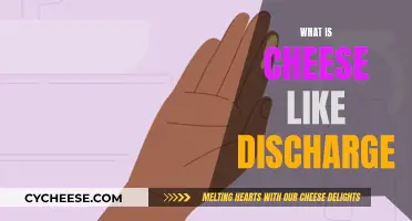 Understanding the Signs: What's Behind Cheesy Discharge?