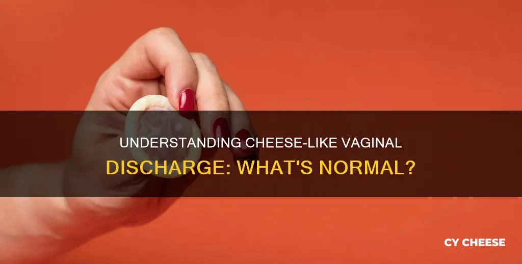 what is cheese like discharge
