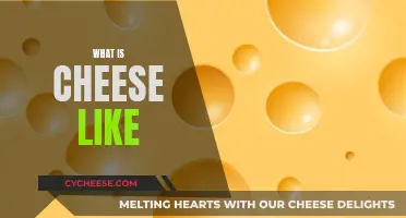 Cheese Exploration: Taste, Texture, and Variety