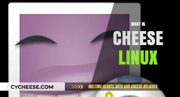 Exploring Cheese Linux: A Lightweight, User-Friendly Operating System
