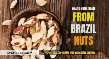 The Magic of Brazil Nut Cheese: A Delicious Mystery