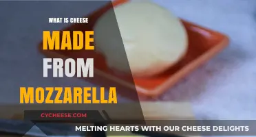 Unveiling Mozzarella's Origin: Milk's Magical Transformation to Cheese