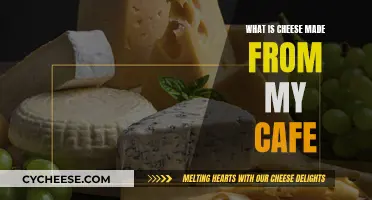 Cheese-Making Process: My Cafe's Secret Recipes