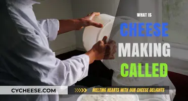 The Art of Cheese Making: What is the Process Called?
