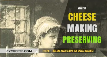 The Art of Cheese Making: Preserving Dairy Delights