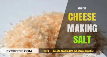 Understanding Cheese Making Salt: Essential Tips for Perfect Homemade Cheese