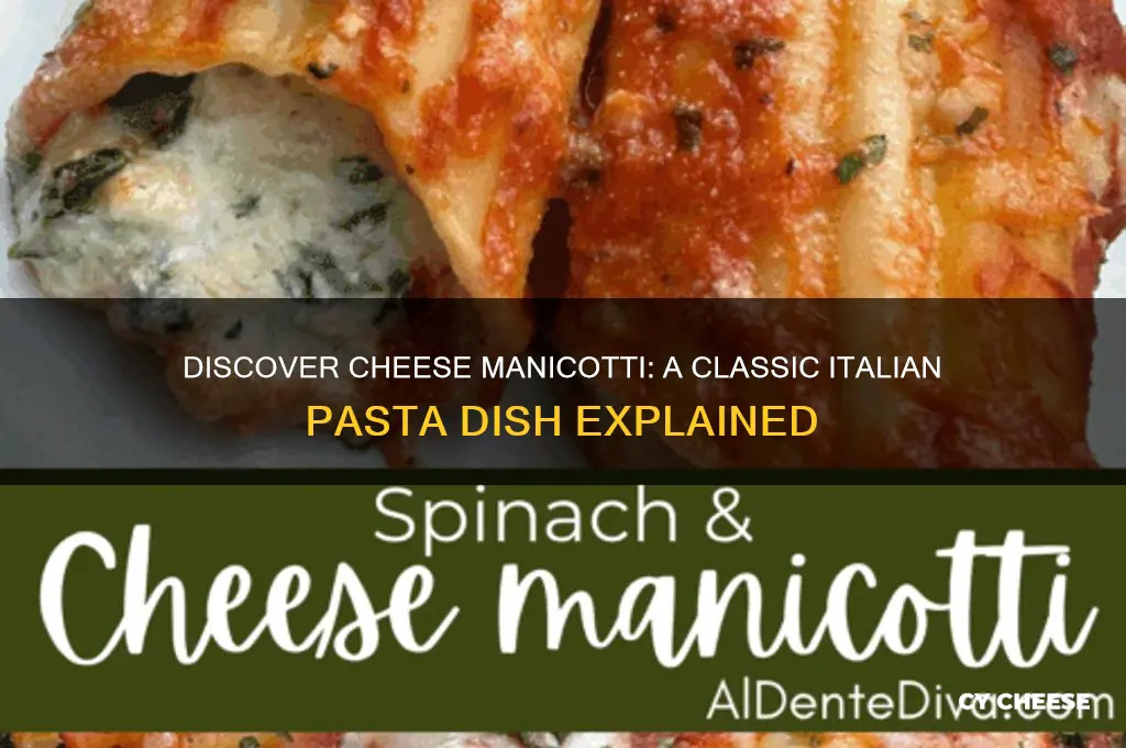 what is cheese manicotti