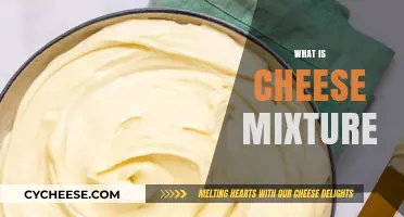 Understanding Cheese Mixture: Ingredients, Uses, and Delicious Recipes Explained