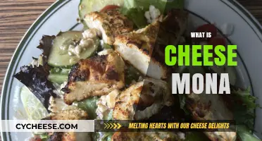 Exploring Cheese Mona: Origins, Uses, and Culinary Delights Unveiled
