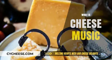 Exploring the Unique Genre of Cheese Music: Origins and Appeal