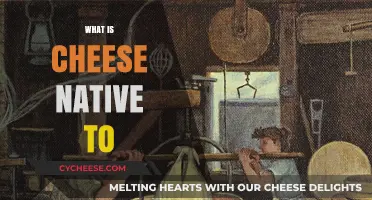 Exploring Cheese Origins: A Journey to Its Native Homelands