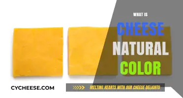 Exploring Cheese's Natural Color: A Guide to Its Authentic Hue