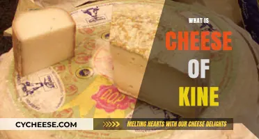Unveiling the Mystery: What is Cheese of Kine and Its Origins
