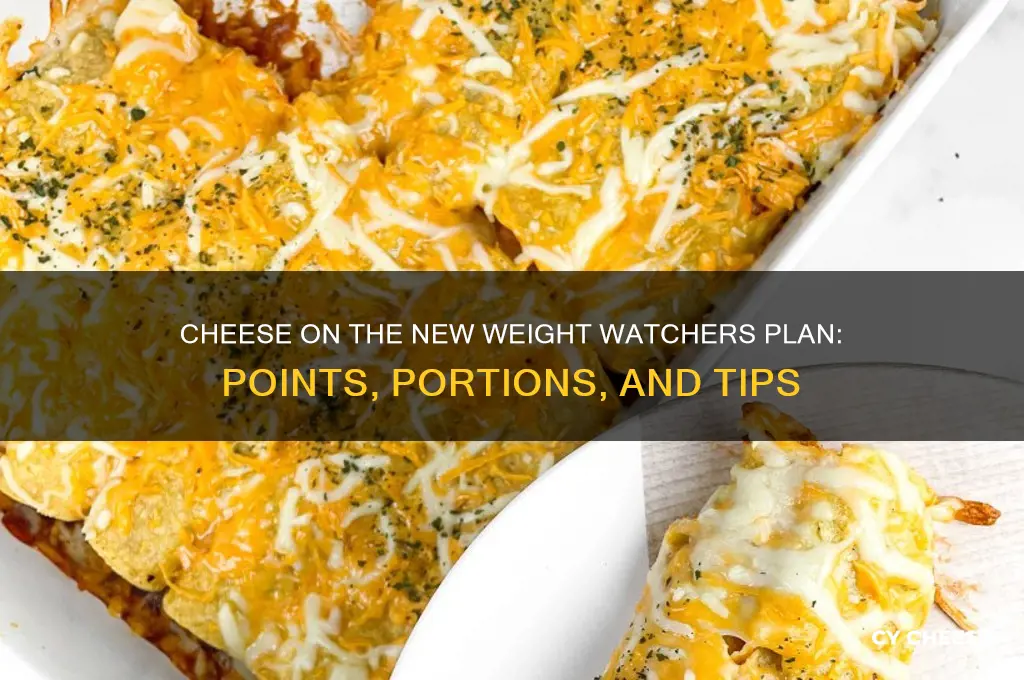 what is cheese on new weight watchers plan