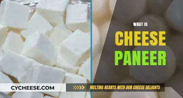Cheese Paneer Explained: Origins, Uses, and Culinary Differences