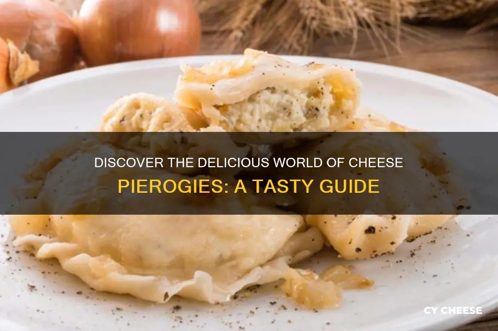 what is cheese pierogies
