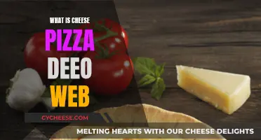 Unveiling the Secrets of Deep Web: Cheese Pizza Edition