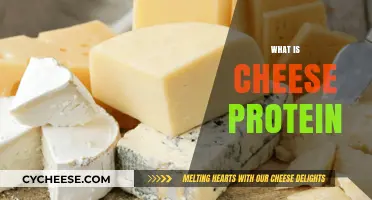 Understanding Cheese Protein: Benefits, Sources, and Nutritional Value Explained