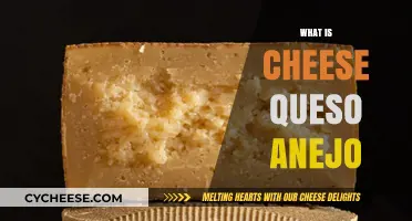 Discovering Cheese: What is Queso Anejo and Its Unique Flavor?