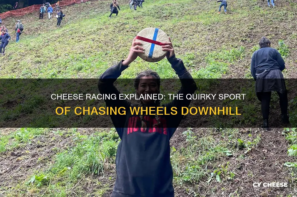 what is cheese racing
