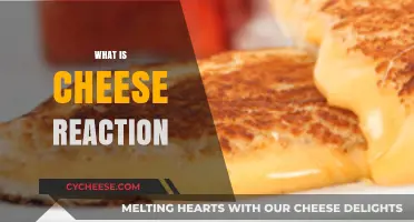 Understanding the Science Behind Cheese Reaction: Causes and Effects