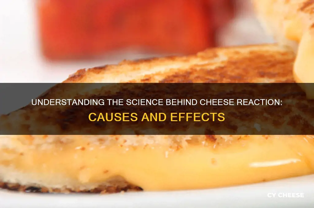 what is cheese reaction