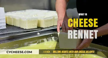 Understanding Cheese Rennet: Its Role, Types, and Uses in Cheesemaking