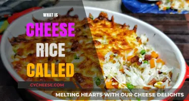 Cheese Rice Unveiled: Exploring the Name and Origins of This Dish