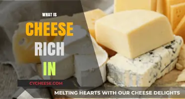 Nutritional Powerhouse: Discover What Cheese is Rich In and Why