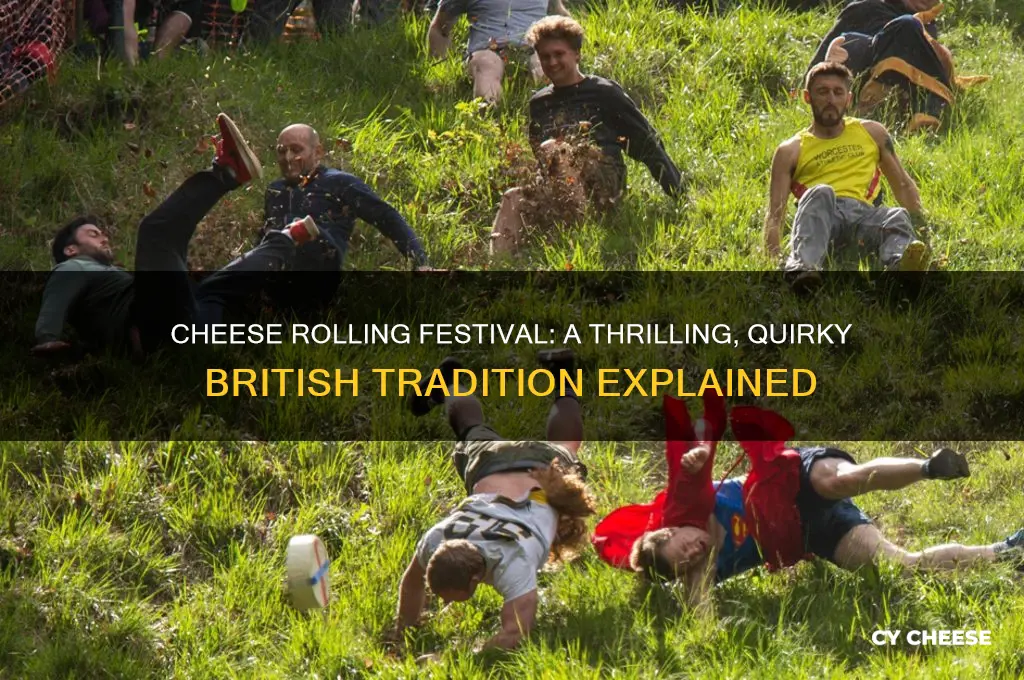 what is cheese rolling festival