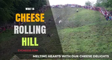 Cheese Rolling Hill: Unraveling the Thrilling British Tradition and Its Origins