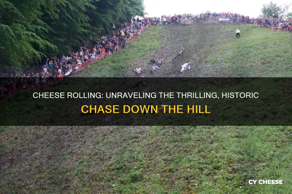 what is cheese rolling sport