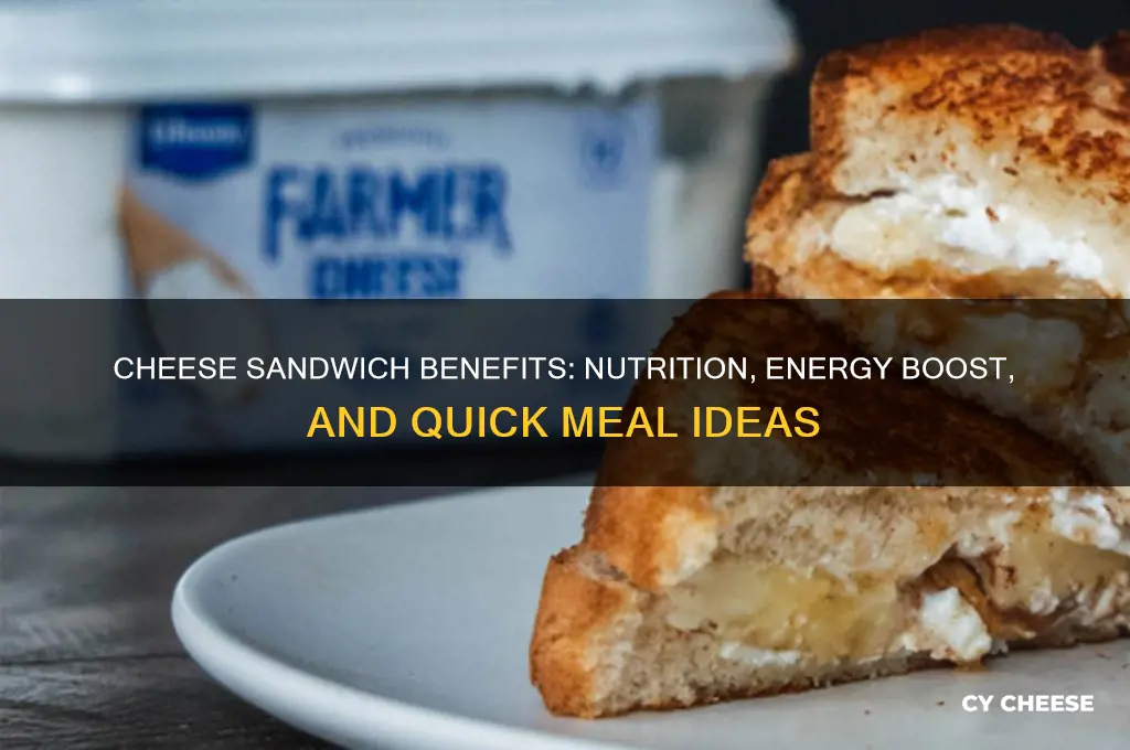 what is cheese sandwich good for