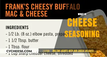 Exploring Cheese Seasoning: Ingredients, Uses, and Flavor-Enhancing Secrets