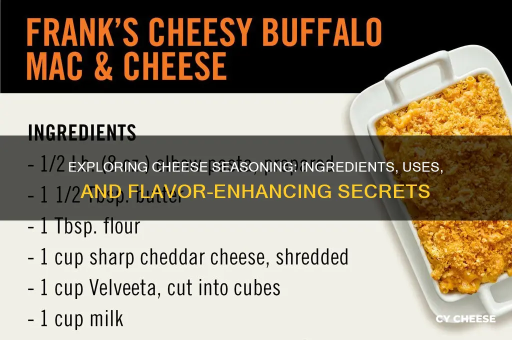 what is cheese seasoning