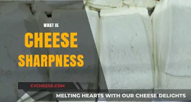 Understanding Cheese Sharpness: Flavor Intensity, Aging, and Types Explained