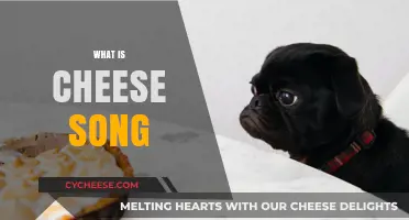 What is the Cheese Song? Uncovering the Viral Sensation and Its Origins