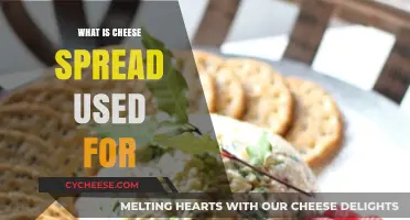 Cheese Spread: A Versatile Topping and Filling