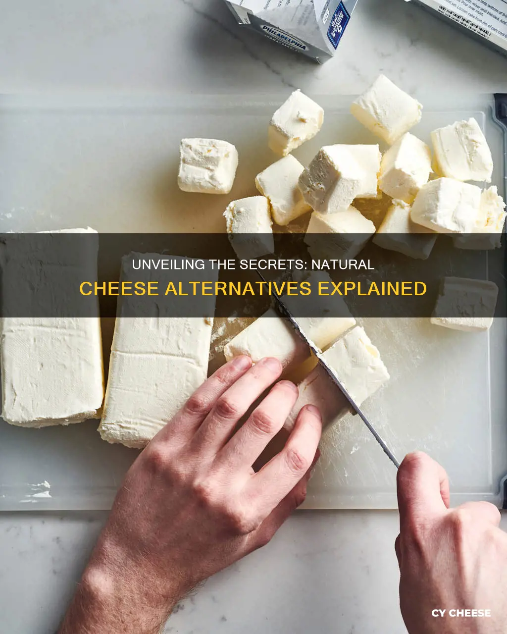 what is cheese substitute made of