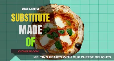 Cheese Substitutes: Vegan-Friendly, Dairy-Free Options Explained