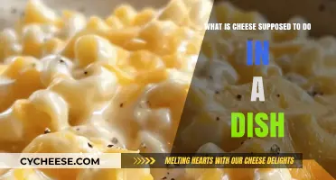 Cheese's Role: Enhancing Flavor, Texture, and Satisfaction in Every Dish