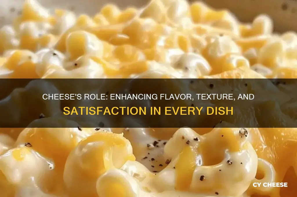 what is cheese supposed to do in a dish