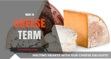 Understanding the Cheese Term: A Comprehensive Guide to Cheese Terminology