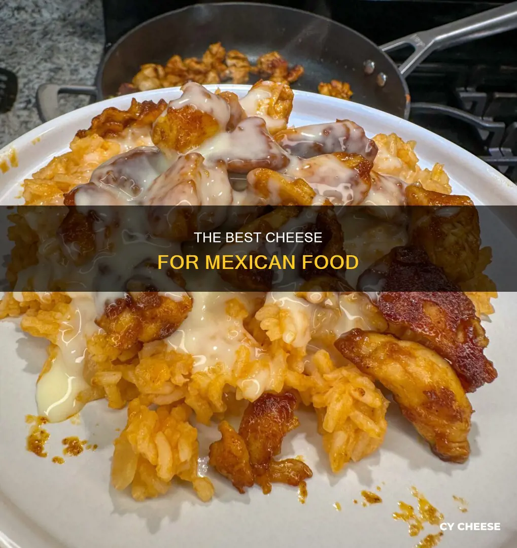 what is cheese that is put over me ican food